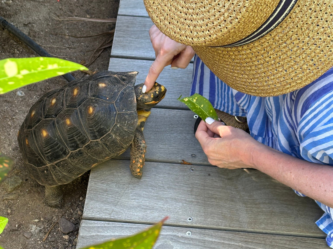 Rosewood le Guanahani St. Barth主图