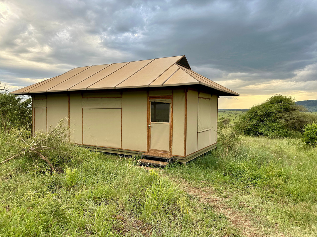 Nyikani Camp - Central Serengeti主图
