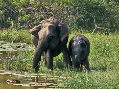 Freedom Safari Jeep Tours-蒂瑟默哈拉默必去景点