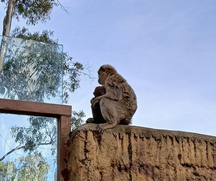 La Reserva del Castillo de las Guardas-塞维利亚必去景点