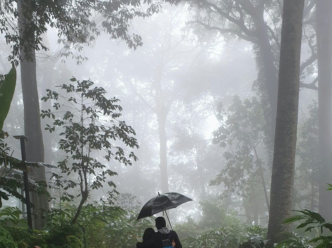 Munnar Holidays-慕那尔必去景点