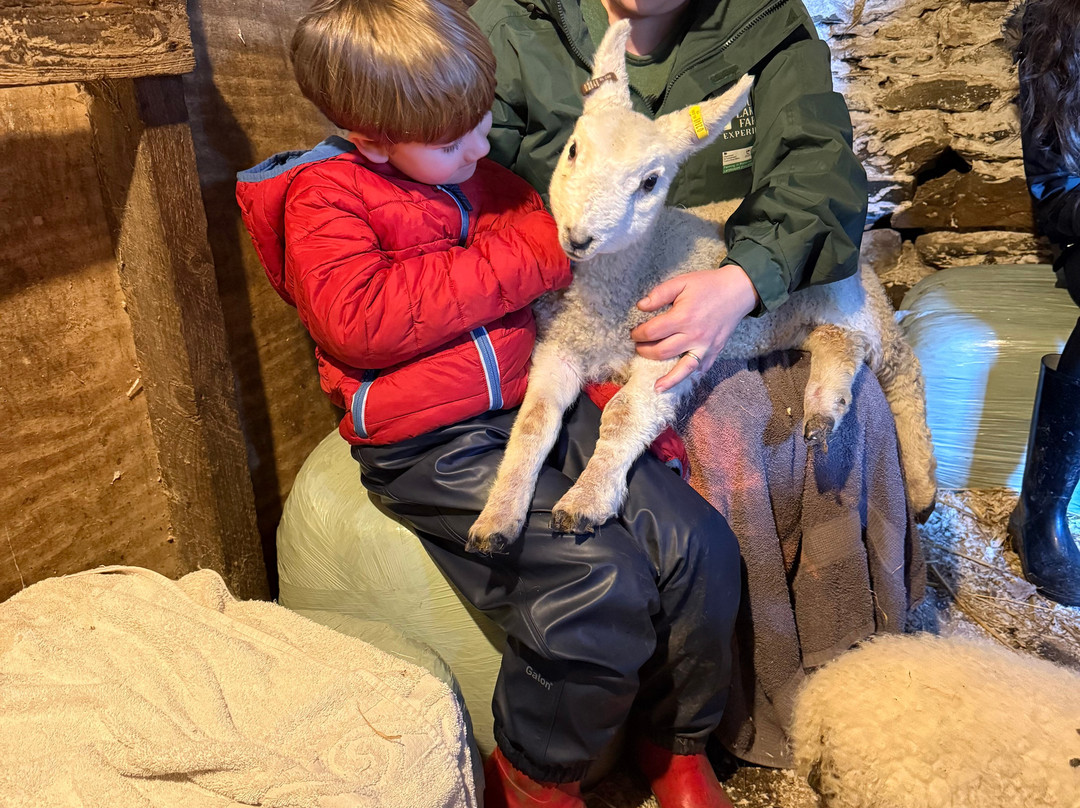 South Lakes Farm Experiences-Grange-over-Sands必去景点