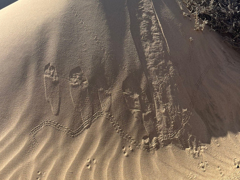 Namib Offroad Excursions-吕德里茨必去景点