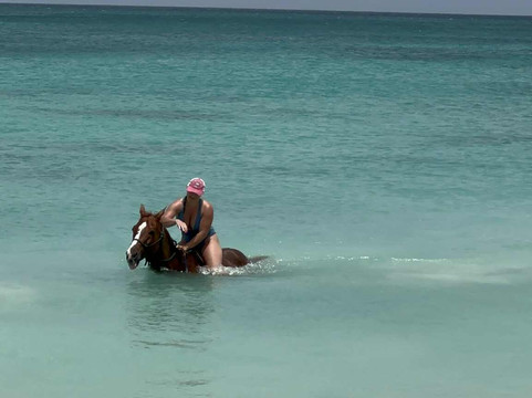 Five Gaits Equestrian Center-布里奇顿必去景点