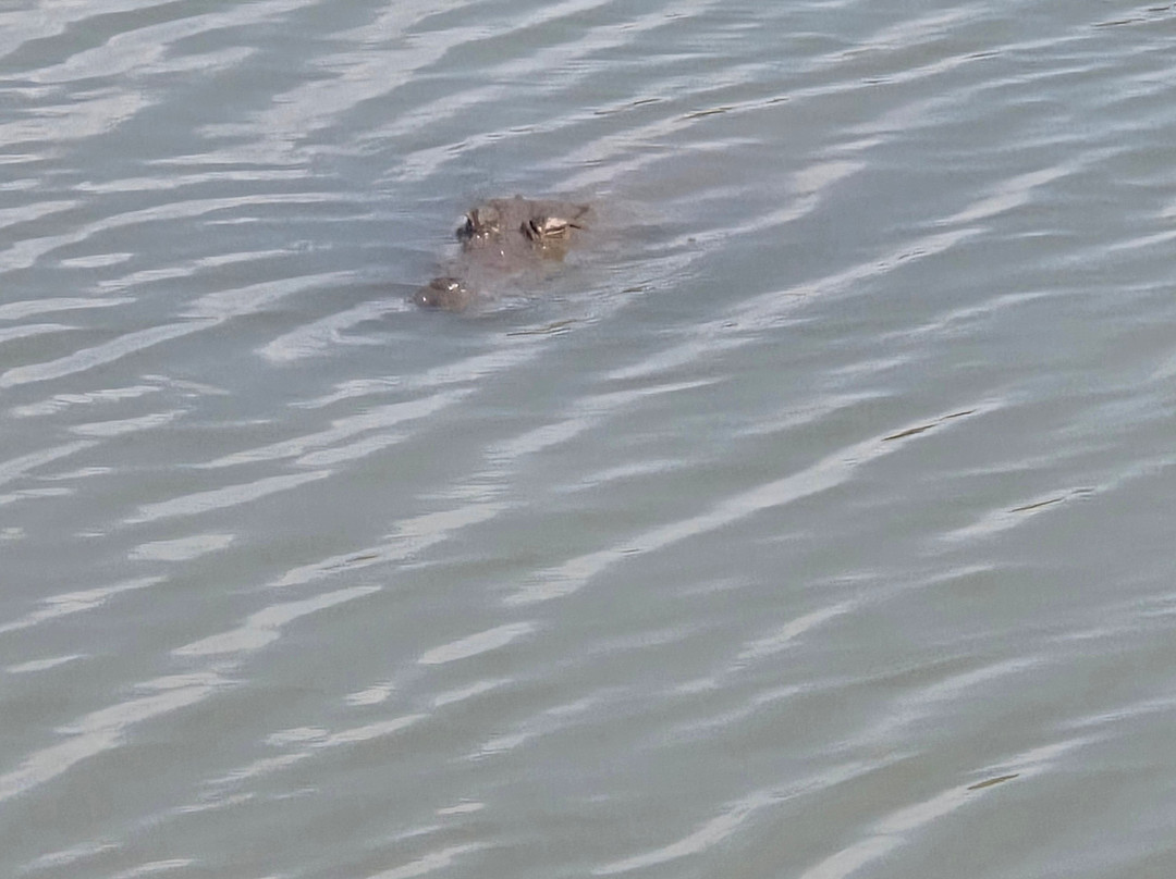 Kavisha Safari Service Udawalawa-乌达瓦拉瓦必去景点