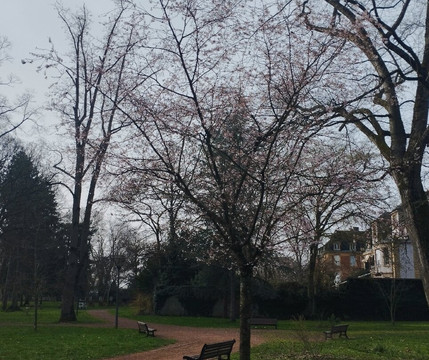 Parc Wilson-蒂永维尔必去景点