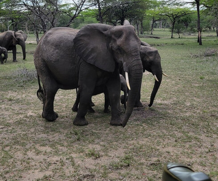Boss Dhow-Kendwa必去景点