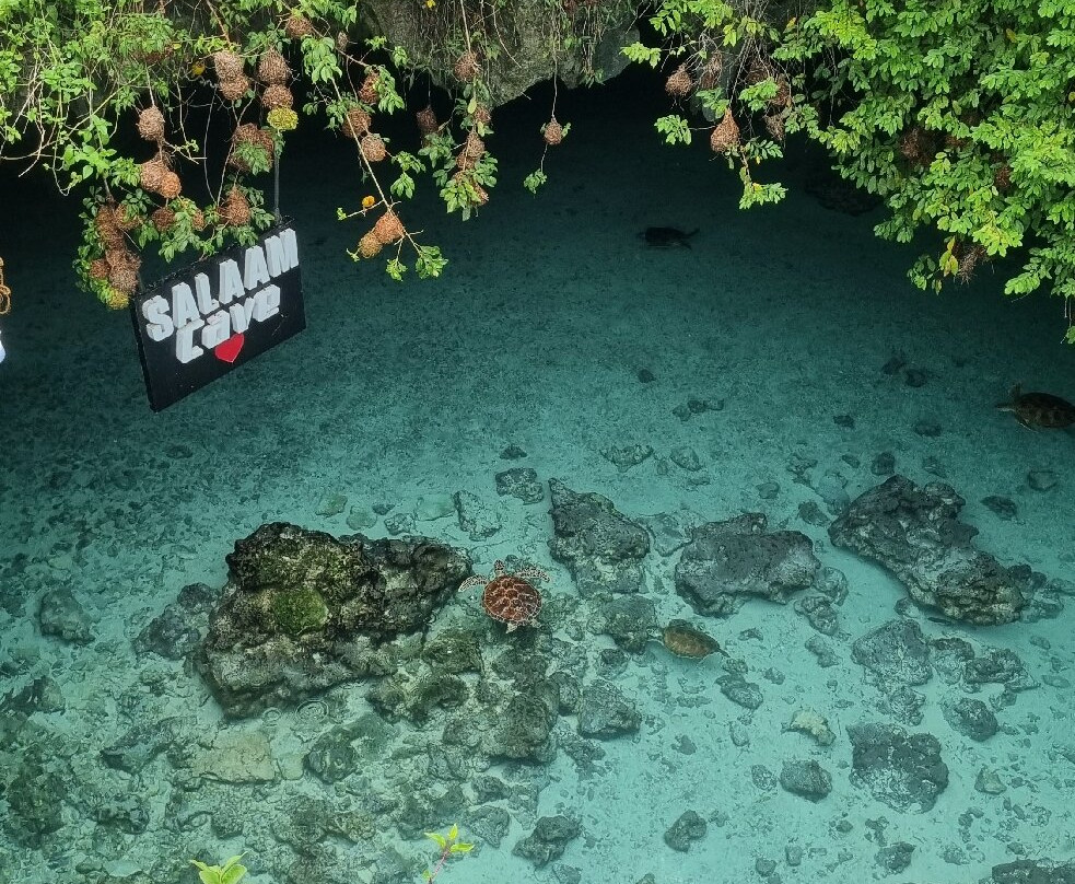 Salaam Cave Aquarium-Kizimkazi Dimbani必去景点