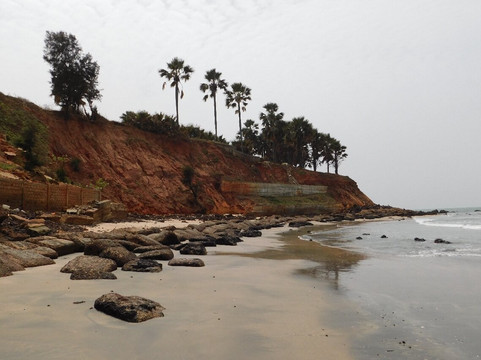 热带花园酒店主图