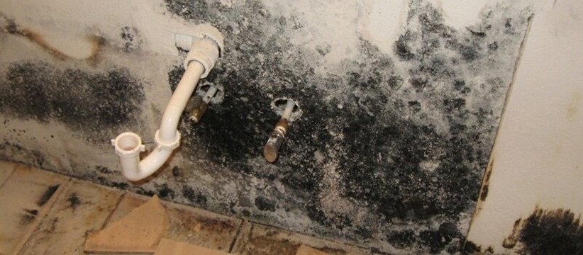 Friedeichstätter Grachten- Und Treeneschiffarhrt Günther Schröder