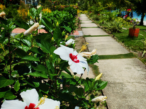 Bituon Beach-Limasawa Island必去景点