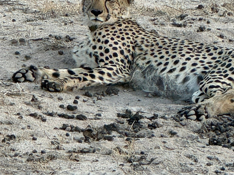 African Journey Safaris-霍德斯普鲁特必去景点