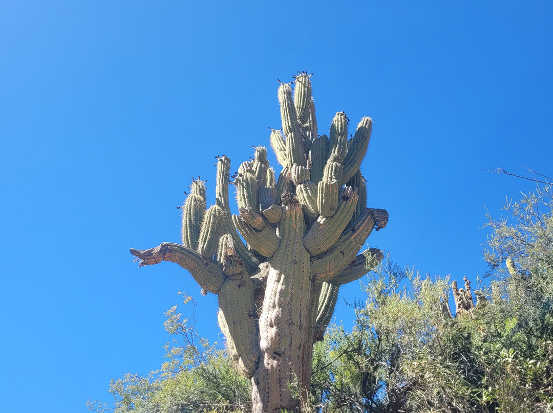 Green Planet Etno Eco Travel-Tupiza必去景点