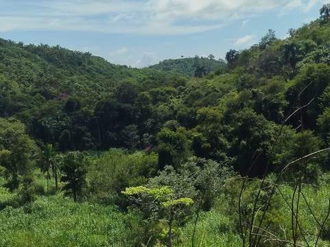 Fazenda Cachoeira Grande-Vassouras必去景点