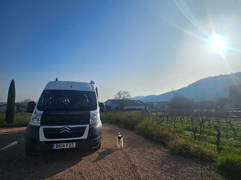 Weingut Wind-Eschbach必去景点