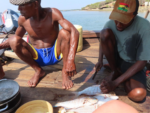 Lady Lamu Dhow-拉穆岛必去景点