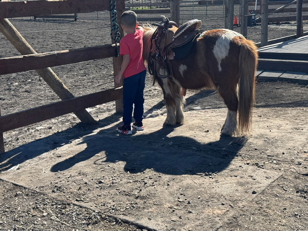 Kinship Trail Rides-埃伦斯堡必去景点