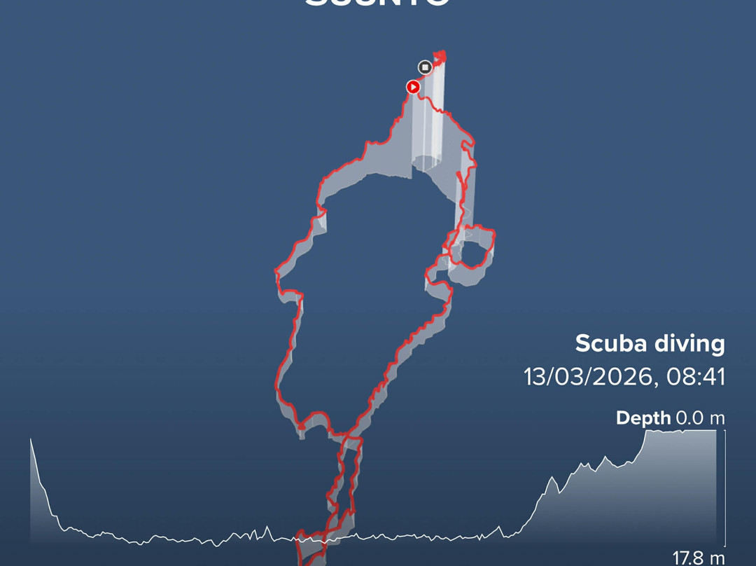 Swan Dive Busselton-巴瑟尔顿必去景点