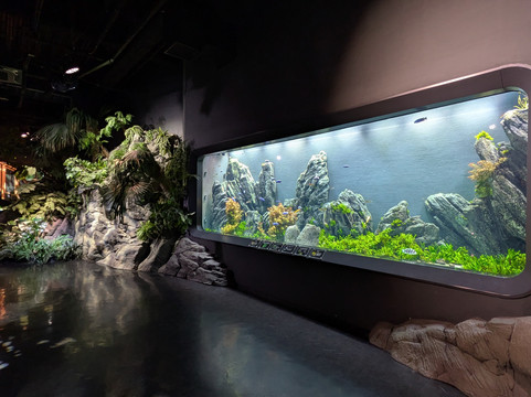 Dmm Kariyushi Aquarium-丰见城市必去景点