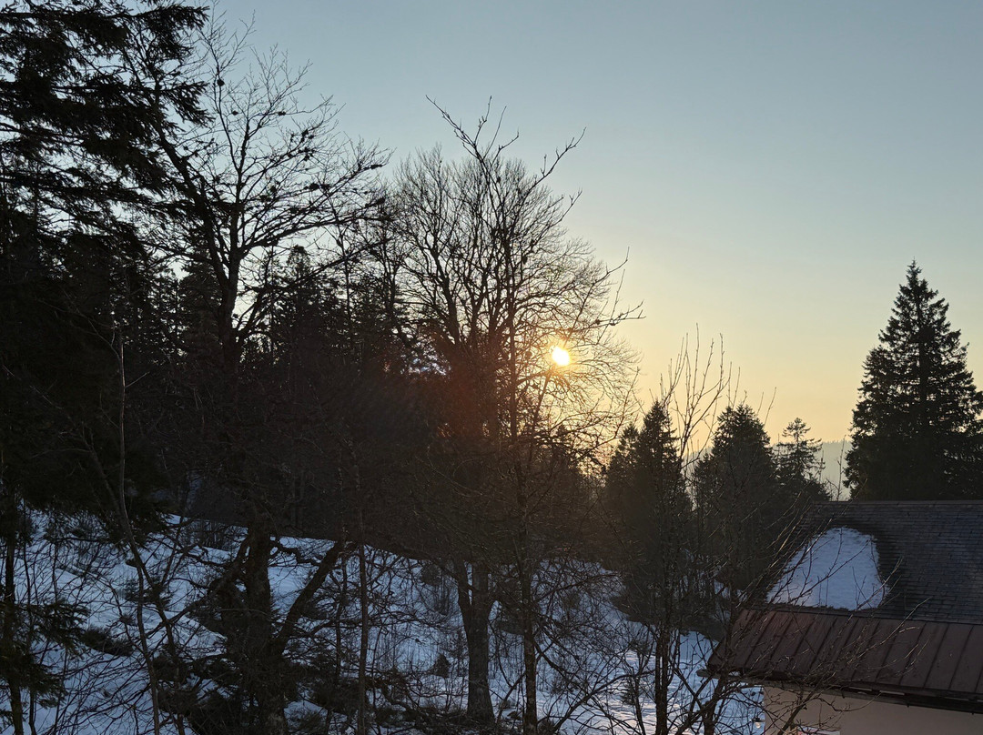 费尔德伯格酒店主图