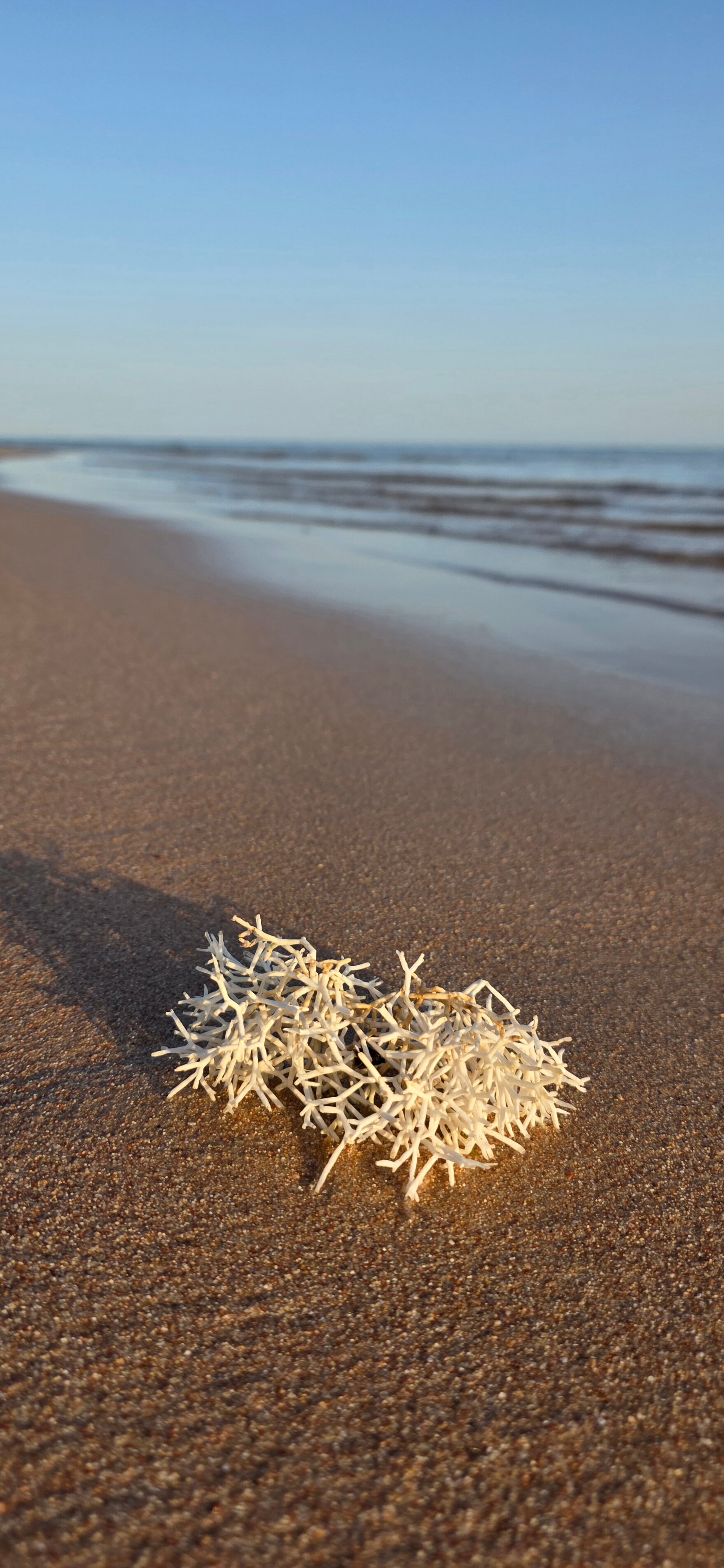 索马湾喜来登度假酒店-泳池