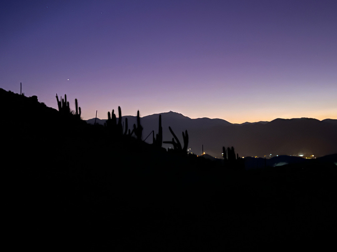 Elki Magic-Vicuna必去景点