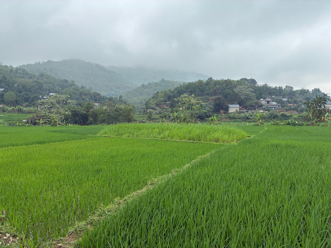 Pu Luong Excursions - Simply for mountain lovers-Thanh Lam必去景点
