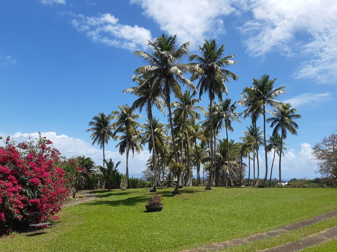 Distillerie Longueteau-Capesterre-Belle-Eau必去景点