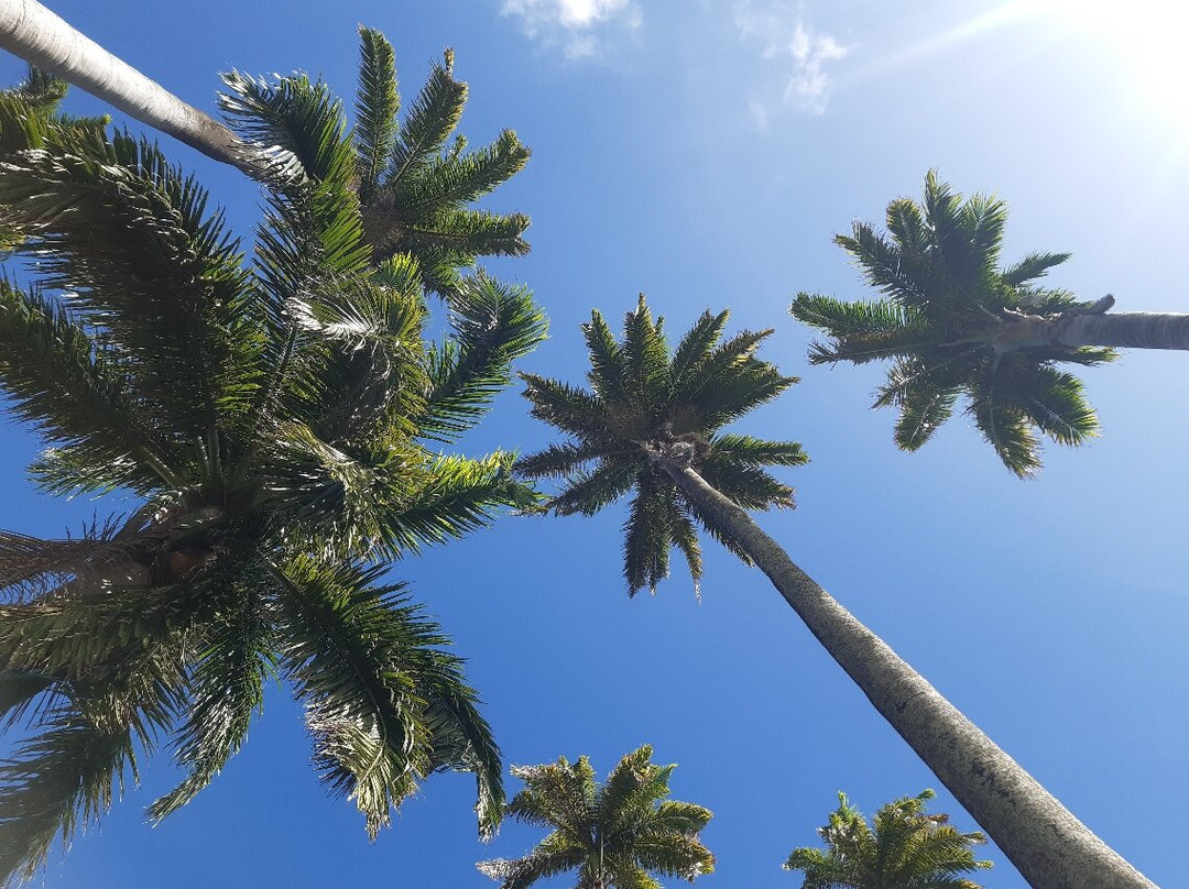 Allée Dumanoir-Capesterre-Belle-Eau必去景点