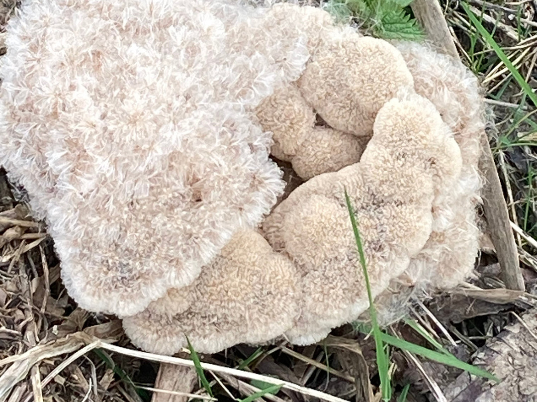 The Walton Hall Spa & Leisure Club-Wellesbourne必去景点