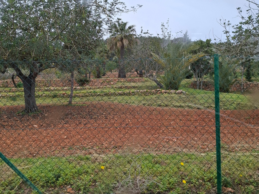 Santa Eulalia Express-圣欧拉利娅尔德里奥必去景点