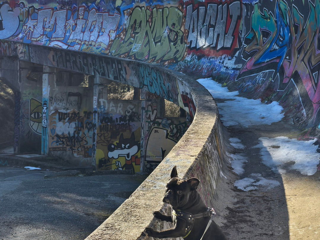 Sarajevo Olympic Bobsleigh and Luge Track-萨拉热窝必去景点