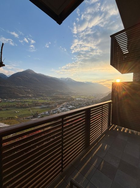 莱蒂希巴尔兹葡萄酒酒店-官方