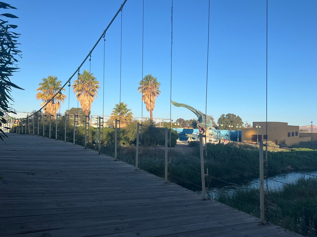 Parque El Loa-Calama必去景点