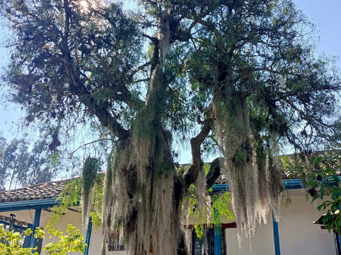 苏昂诺加卡瑟纳酒店主图