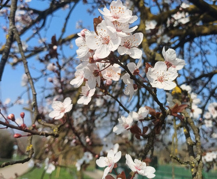 Parco Brianza Centrale-塞雷尼奥必去景点