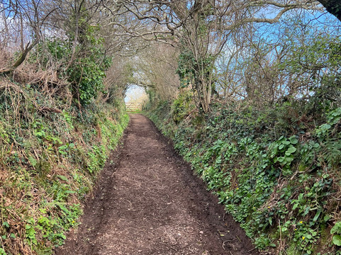 Slapton Ley Field Centre-Slapton必去景点