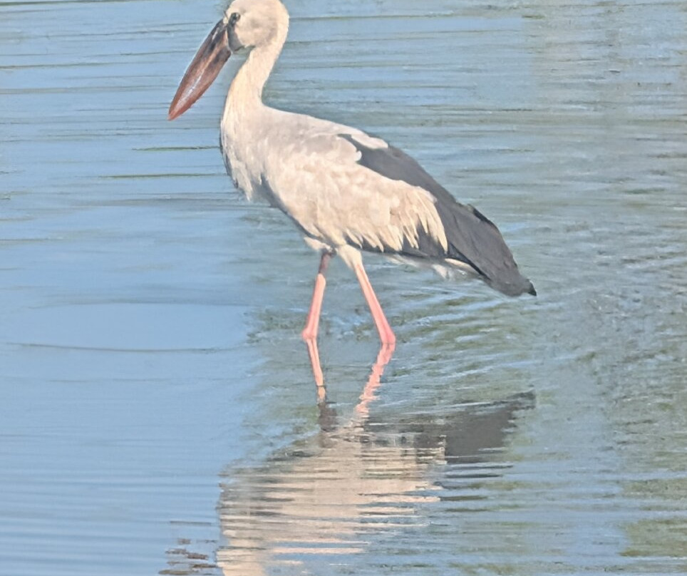 猎豹营舍-亚拉游猎营舍主图