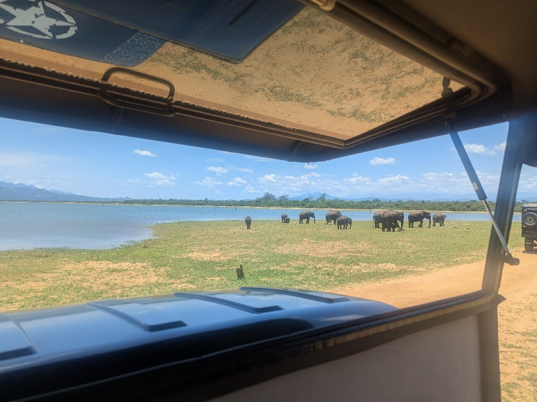 Slow Safaris by Nomad Trails-Sri Lanka-乌达瓦拉瓦必去景点