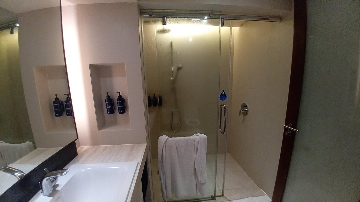 Radisson Blu Hotel, Cebu-浴室