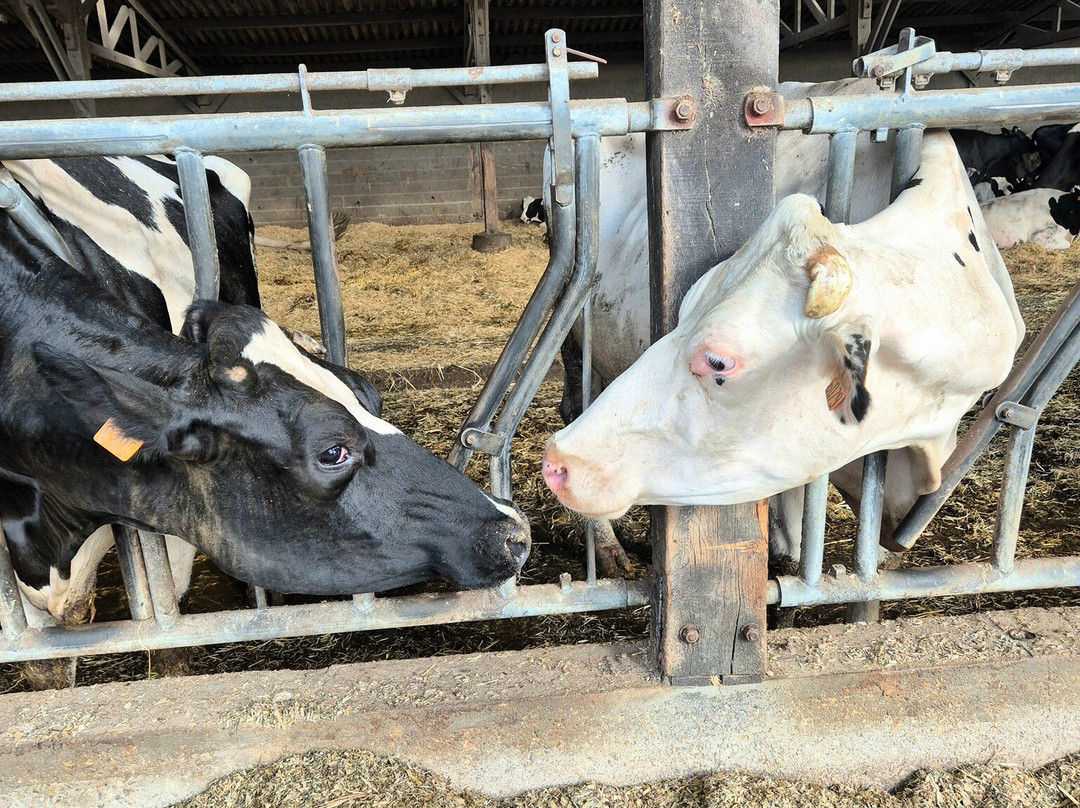 Agri'KIDS-Jarze必去景点