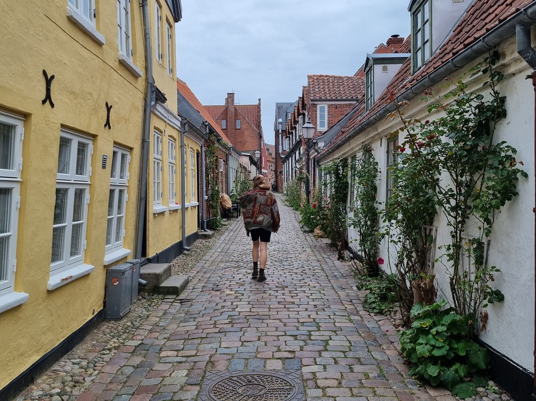 VisitRibe-里伯必去景点