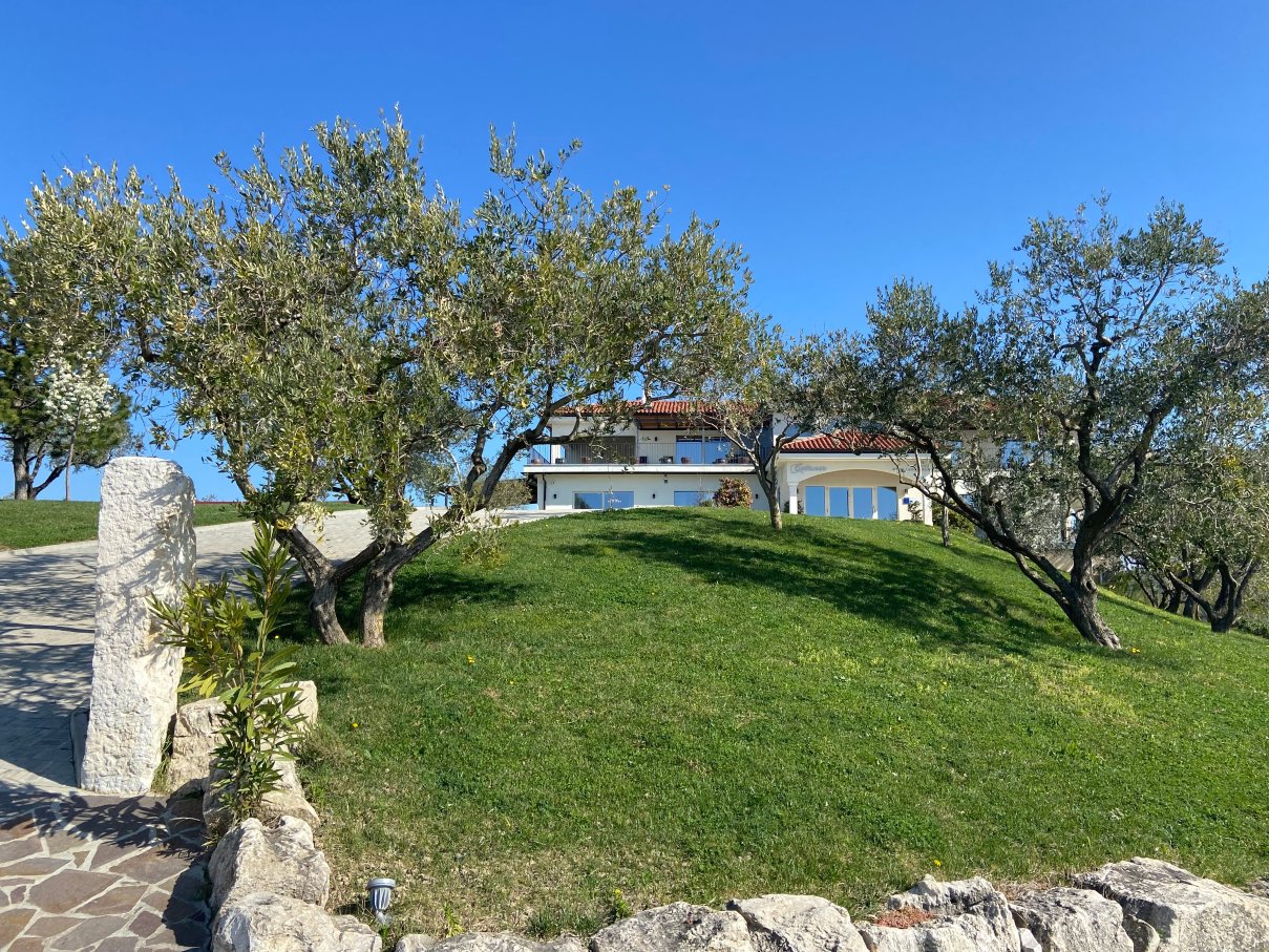 查图纳酒庄住宅酒店-官方