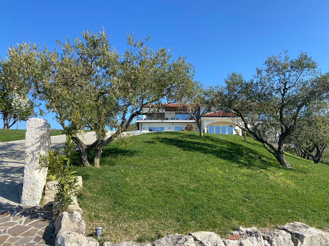 查图纳酒庄住宅酒店主图