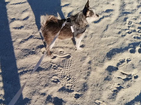 阿斯托利亚酒店主图