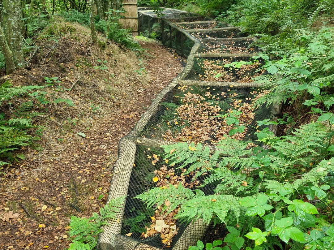 Sonderho Gl. Fuglekoje-法诺必去景点