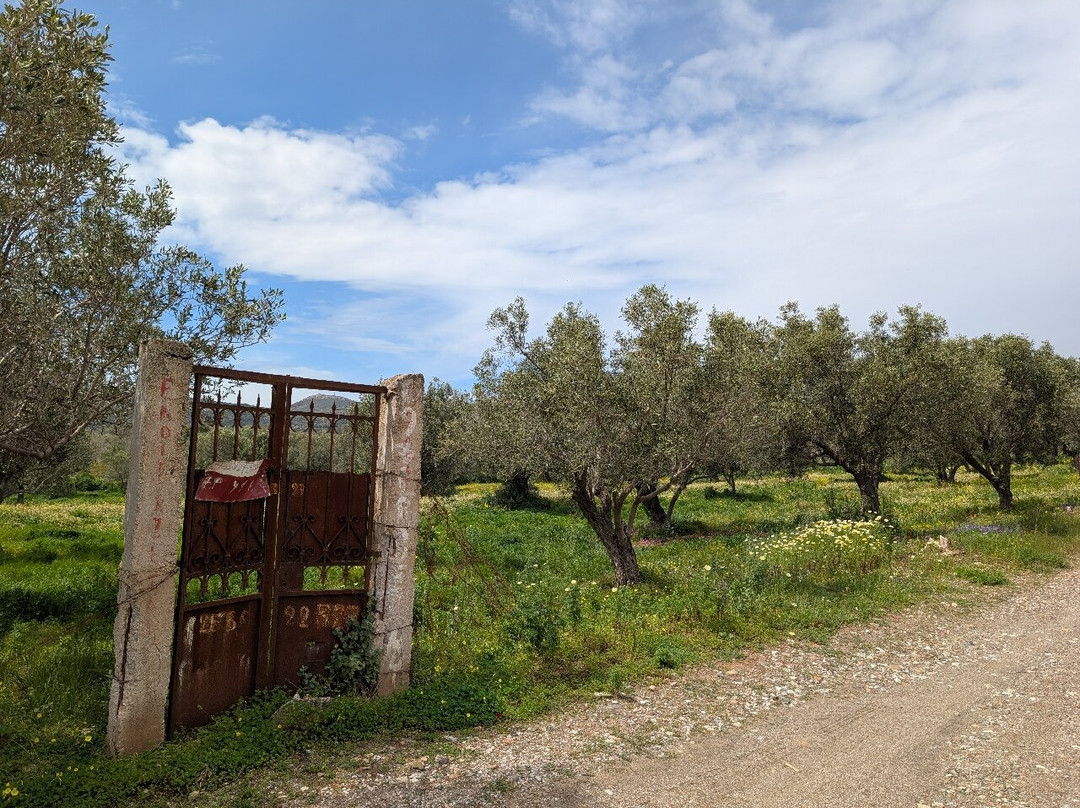 Ancient Theater of Thorikos-Thoricus必去景点