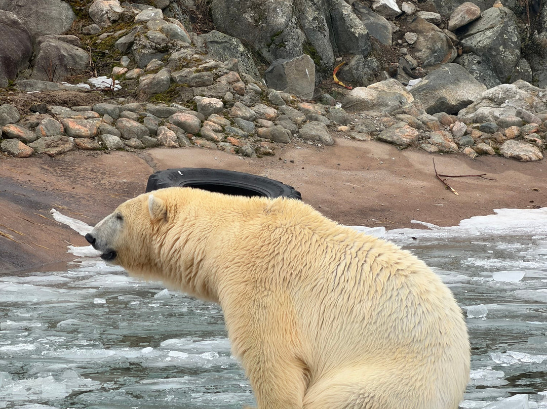拉普兰探索之旅（罗瓦涅米）-罗瓦涅米必去景点