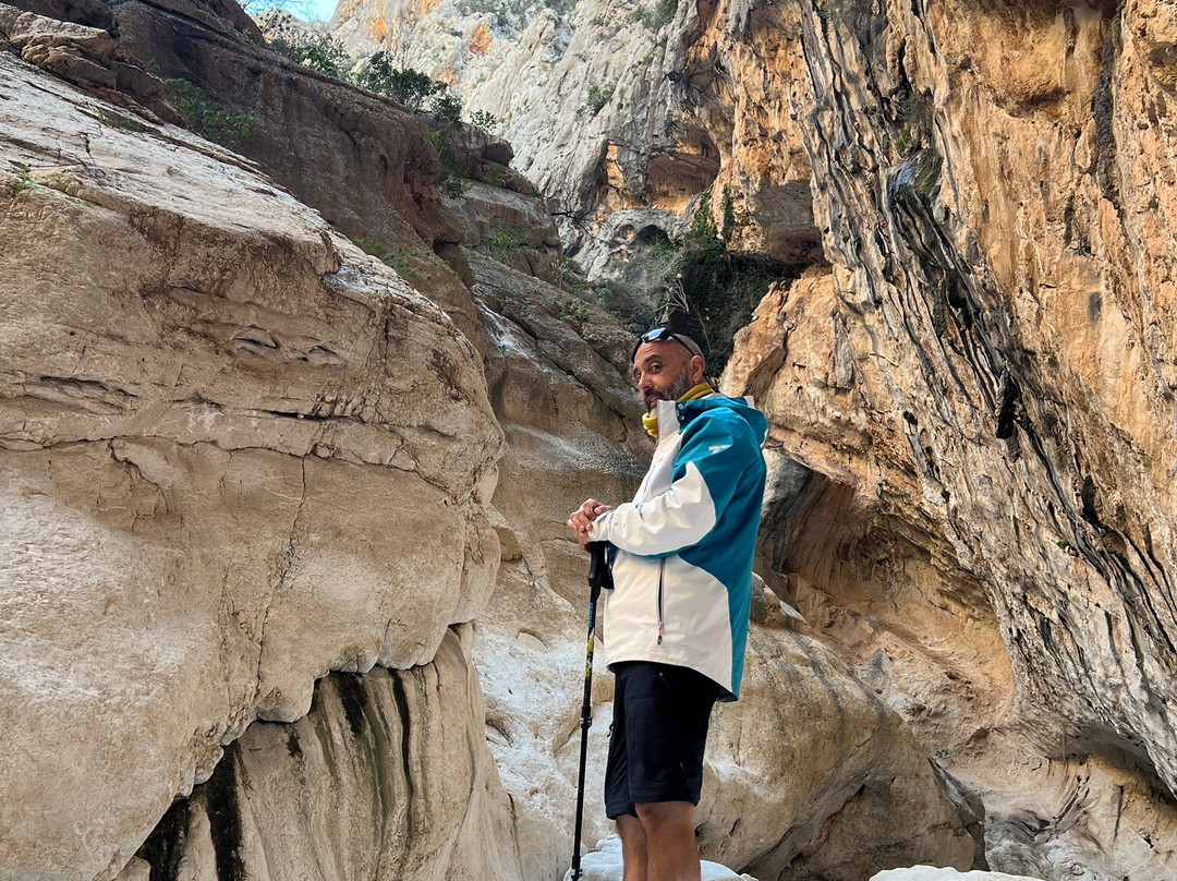 Motus Travel-萨萨里省必去景点