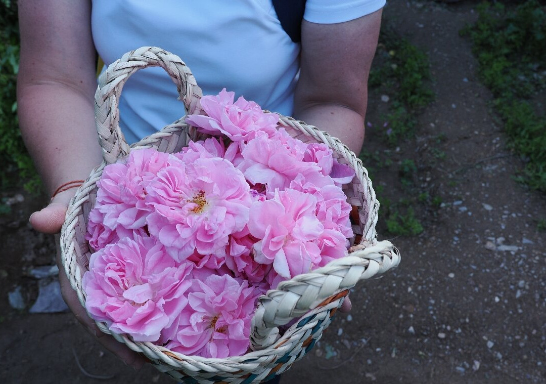 Jabal Akdhar-Jabal Akhdar必去景点